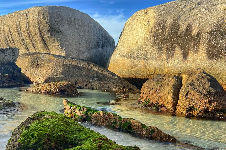 Cape of Good Hope Cape Point for groups - Photo 1 of 6